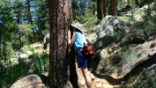 PICTURES/Granite Mountain Trail/t_Smelling Ponderosa Pine.JPG